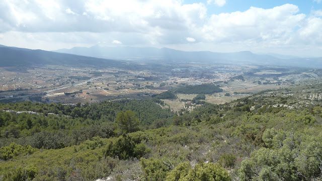 Fondo
