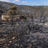 El Gobierno de España declara a Ibi zona afectada por emergencia tras el incendio del 18 de julio