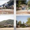 La Fundación La Mácula del Tiempo crea en Tibi un circuito artístico que conecta arte, historia y territorio