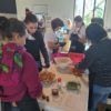 El Museo de la Biodiversidad de Ibi organiza la XX edición de las Jornadas Micológicas