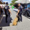 Castalla refuerza la seguridad ciudadana con la consolidación de su Unidad Canina durante 2025