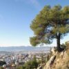 El área de Medioambiente de Ibi recibe subvenciones de Diputación por un total de 81.500 euros